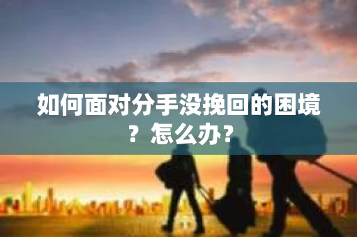 如何面对分手没挽回的困境?怎么办? 如何面对分手没挽回的困境?怎么办?