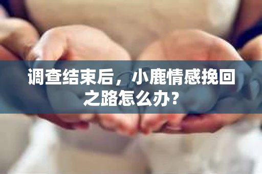 调查结束后，小鹿情感挽回之路怎么办？