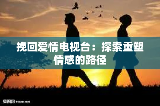 挽回爱情电视台：探索重塑情感的路径