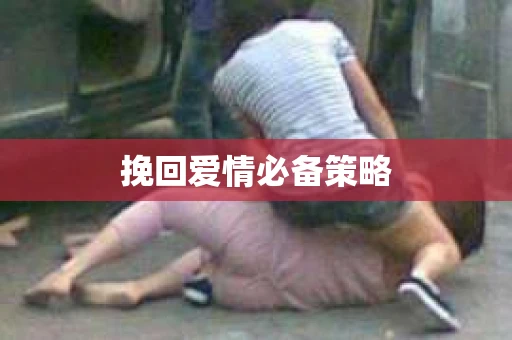 挽回爱情必备策略