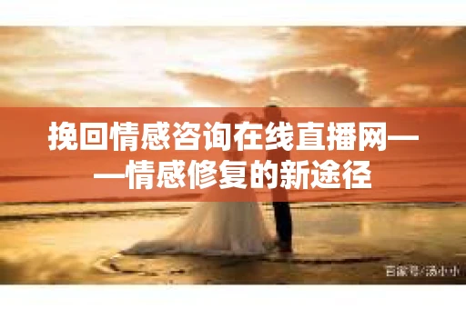 挽回情感咨询在线直播网——情感修复的新途径