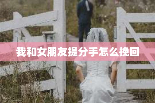 我和女朋友提分手怎么挽回