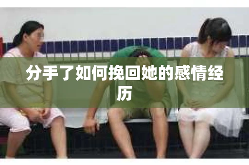 分手了如何挽回她的感情经历