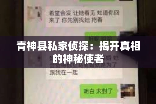 青神县私家侦探：揭开真相的神秘使者