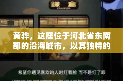 黄骅，这座位于河北省东南部的沿海城市，以其独特的地理位置和丰富的历史文化而闻名。然而，在这座城市中，还有一群人，他们以另一种方式默默守护着社会的公平与正义——私家侦探。今天，我们就来聊聊黄骅的私家侦探，看看他们是如何在这个城市中发挥作用的。