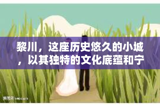 黎川，这座历史悠久的小城，以其独特的文化底蕴和宁静的生活节奏吸引着无数游客。然而，在这样一个看似平静的城市里，你是否会好奇，有没有私家侦探机构的存在呢？今天，就让我带你一探究竟。