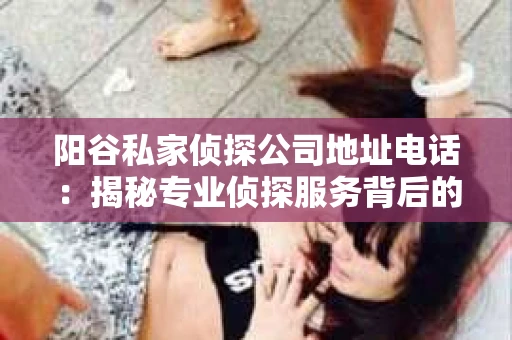 阳谷私家侦探公司地址电话：揭秘专业侦探服务背后的故事