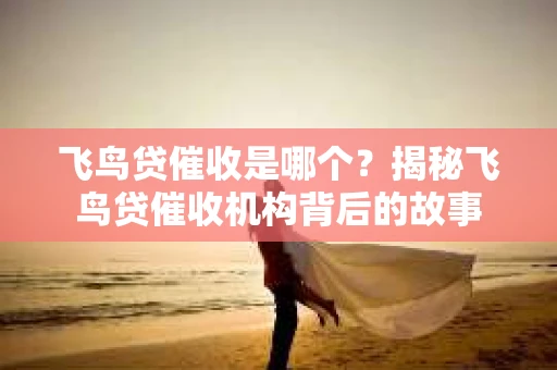 飞鸟贷催收是哪个？揭秘飞鸟贷催收机构背后的故事