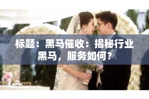 标题：黑马催收：揭秘行业黑马，服务如何？