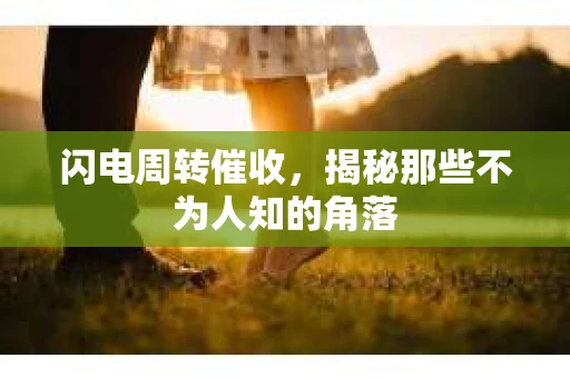 闪电周转催收，揭秘那些不为人知的角落