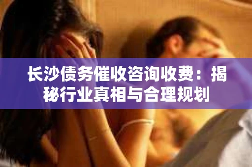 长沙债务催收咨询收费：揭秘行业真相与合理规划