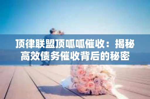 顶律联盟顶呱呱催收:揭秘高效债务催收背后的秘密 顶律联盟顶呱呱催收:揭秘高效债务催收背后的秘密