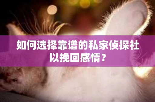 如何选择靠谱的私家侦探社以挽回感情？