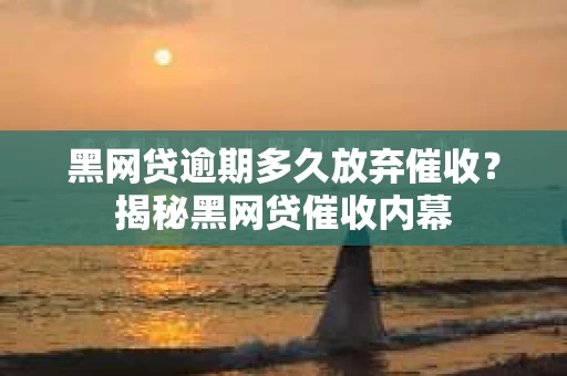 黑网贷逾期多久放弃催收？揭秘黑网贷催收内幕