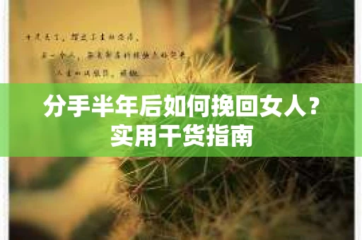 分手半年后如何挽回女人?实用干货指南 分手半年后如何挽回女人?实用干货指南