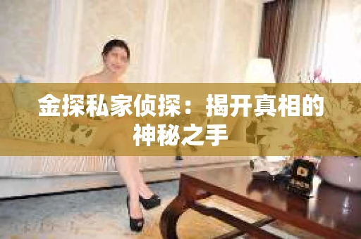 金探私家侦探：揭开真相的神秘之手