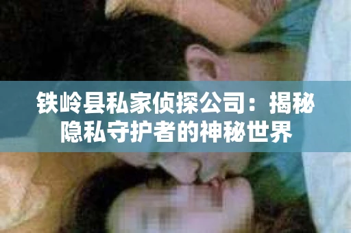 铁岭县私家侦探公司：揭秘隐私守护者的神秘世界