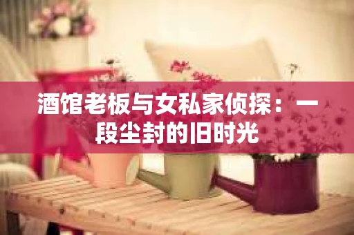 酒馆老板与女私家侦探：一段尘封的旧时光