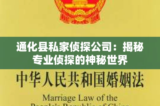 通化县私家侦探公司：揭秘专业侦探的神秘世界