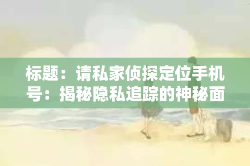 标题：请私家侦探定位手机号：揭秘隐私追踪的神秘面纱
