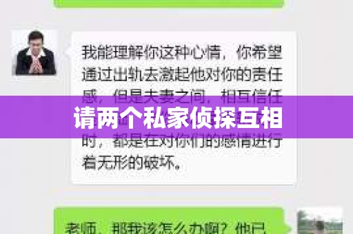 请两个私家侦探互相