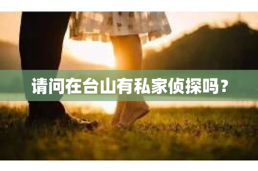 请问在台山有私家侦探吗？