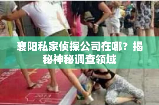 襄阳私家侦探公司在哪？揭秘神秘调查领域