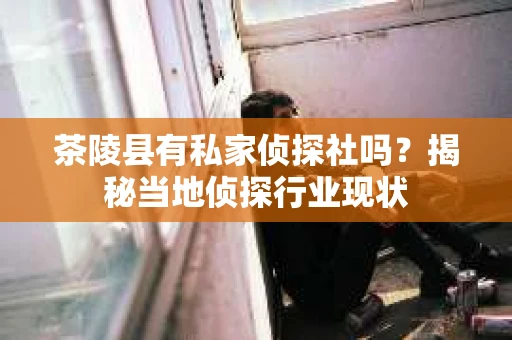 茶陵县有私家侦探社吗？揭秘当地侦探行业现状
