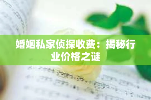 婚姻私家侦探收费：揭秘行业价格之谜