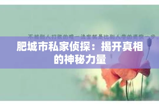 肥城市私家侦探：揭开真相的神秘力量