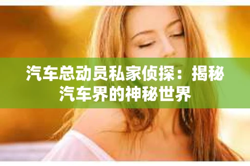 汽车总动员私家侦探：揭秘汽车界的神秘世界