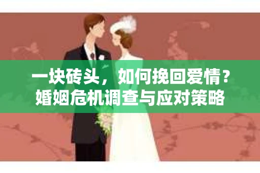 一块砖头，如何挽回爱情？婚姻危机调查与应对策略