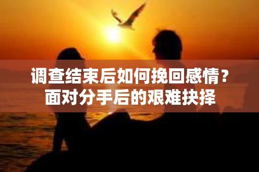 调查结束后如何挽回感情?面对分手后的艰难抉择 调查结束后如何挽回感情?面对分手后的艰难抉择