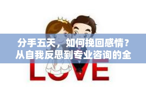 分手五天,如何挽回感情?从自我反思到专业咨询的全面解决方案 分手五天,如何挽回感情?从自我反思到专业咨询的全面解决方案