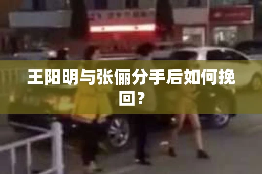 王阳明与张俪分手后如何挽回？