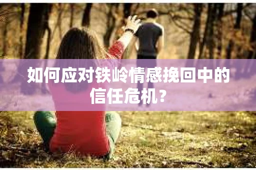 如何应对铁岭情感挽回中的信任危机？