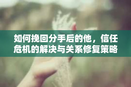 如何挽回分手后的他，信任危机的解决与关系修复策略