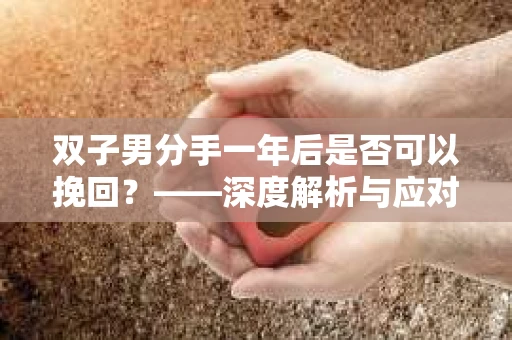 双子男分手一年后是否可以挽回？——深度解析与应对策略